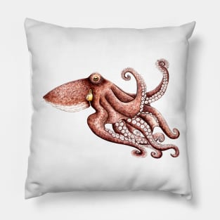 Octopus (Octopus vulgaris) Pillow