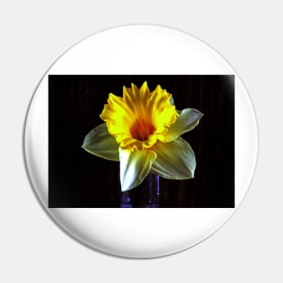 Daffodil in the dark Pin