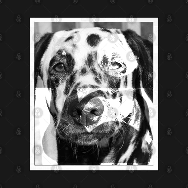 dalmatian dog face by Armangedonart