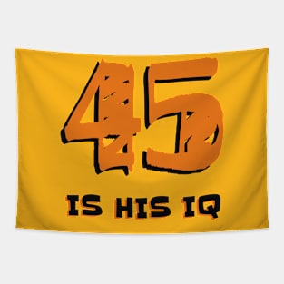 45 IS HIS IQ Tapestry