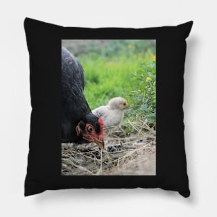 The single child (Hen and chick) Pillow