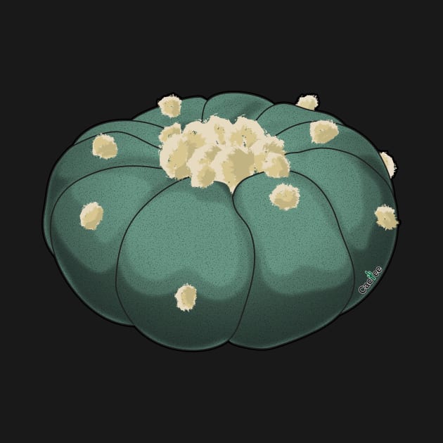 Lophophora Williamsii 3D Peyote by Cactee