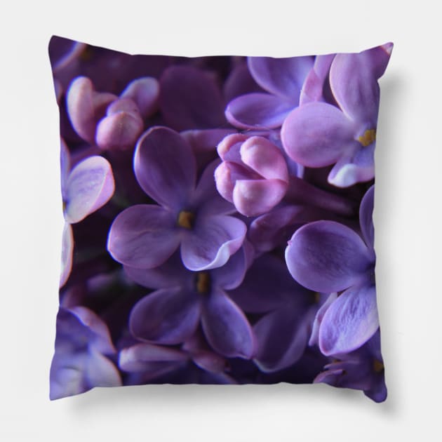 Lilac Pillow by Kraina