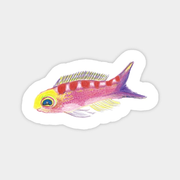 Happy Fishy Colored Pencil Drawing of a Saddled Anthias Fish Magnet by Ali Cat Originals