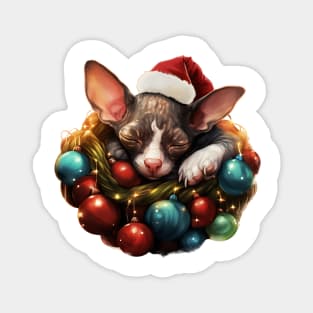 Lazy Cornish Rex Cat At Christmas Magnet