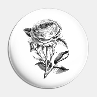 Rose Flower Illustration Pin