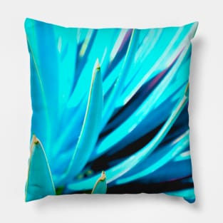 Cool Cactus Pillow