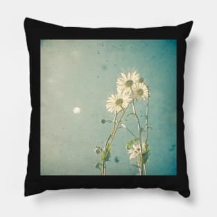 The Daisy Family Pillow