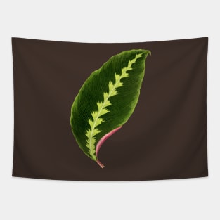 Calathea Warscewiczii - Flore des serres et des jardin de l’Europe Tapestry