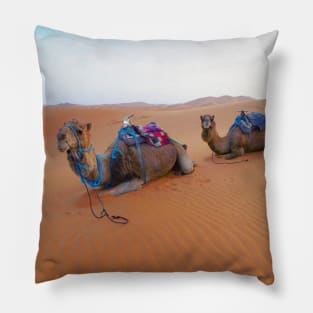 Saharan camels, nature travel photography Pillow
