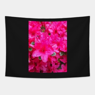 La vie en rose Tapestry