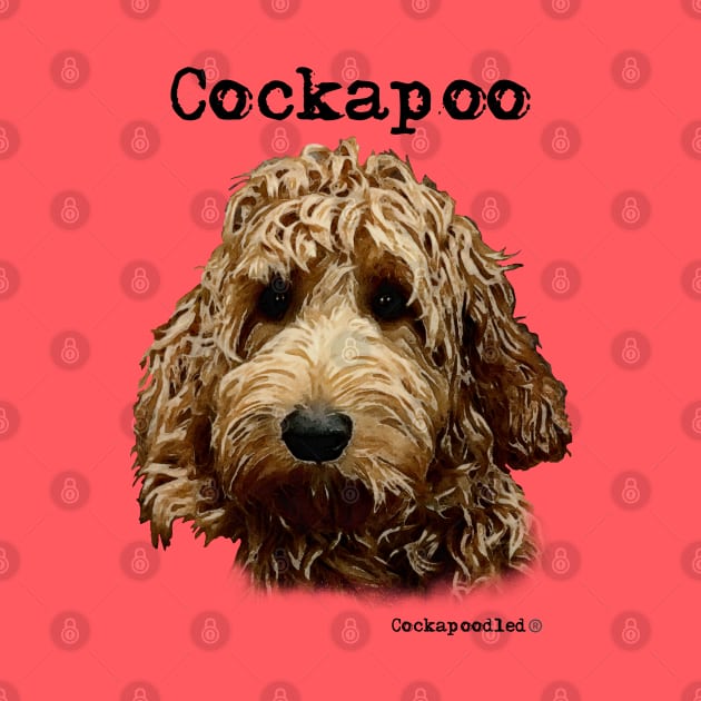 Red Cockapoo / Spoodle and Doodle Dog by WoofnDoodle 