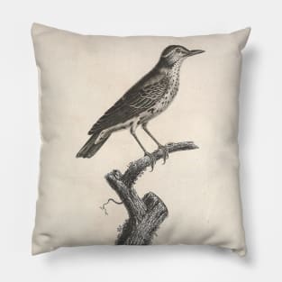 The Brown Warbler Pillow