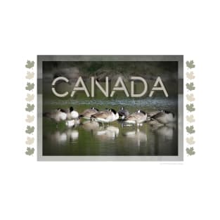 Canadian Geese T-Shirt