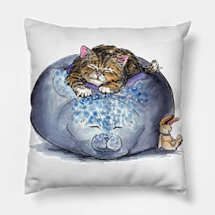 Cat Sleeping on Seal Pillow Pillow