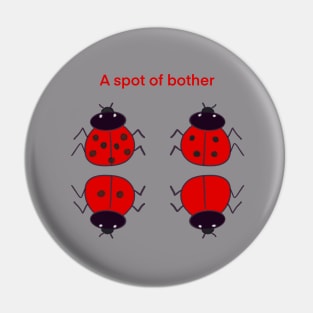 Lady Bird Pin