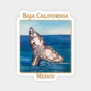 Whale Tail in Baja California Mexico Magnet