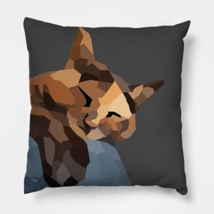 Tortie Low Poly Pillow