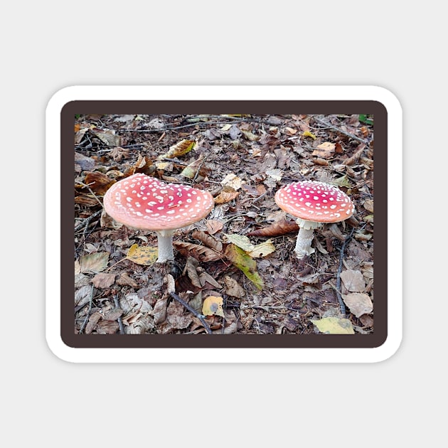 red mushrooms Magnet by MojcaD
