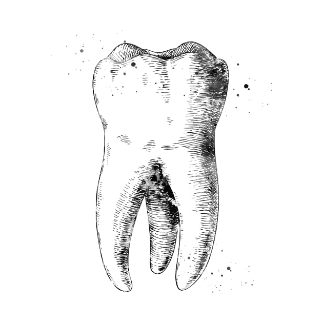 Human tooth by erzebeth