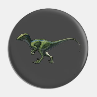 Raptor Pin