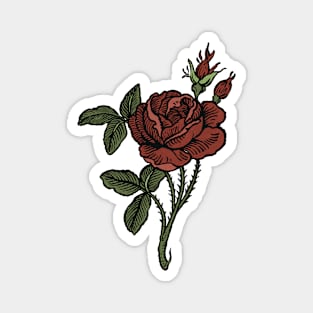 Whimsigoth Rose Tattoo Drawing Magnet