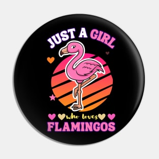 Just a girl who loves flamingos Pin