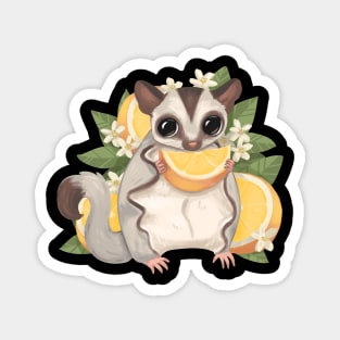 Orange Citrus Sugar Glider Magnet