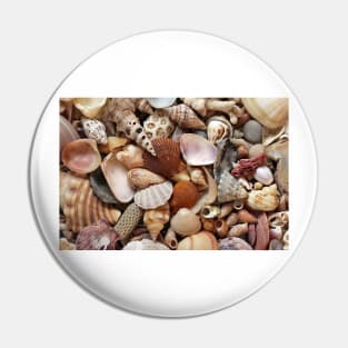 Sea shells and coral Pin