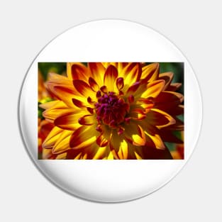 Wonderful Red Yellow Dahlia Close Up Pin