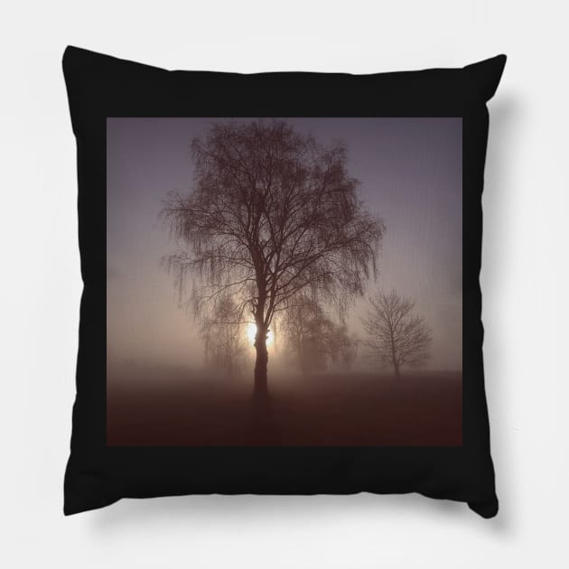 Morning mood Pillow by Trine