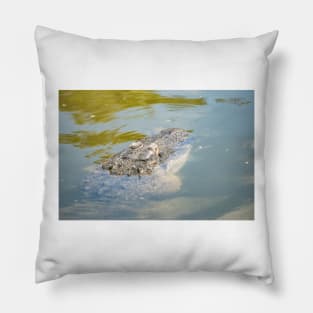 Cool Alligator Pillow