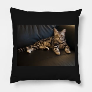 Tamara Pillow