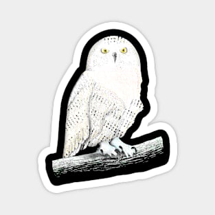 Snowy owl Magnet