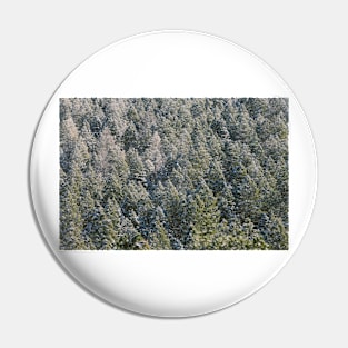 Lost in Pine Pin