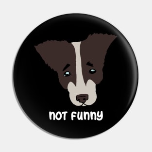 not funny. sad dog Pin