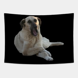 Kangal Dog Yawning Vector Cut Out Tapestry