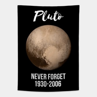 Pluto never forget geek nerd gift idea Tapestry