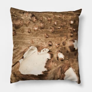 Burning paper Pillow