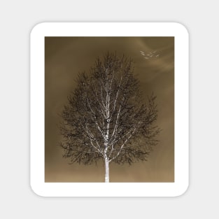 Winter Tree In Muted Tones Magnet