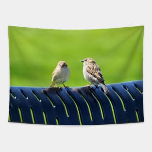 Two Sparrows Resting On a Bench Tapestry