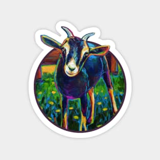 Colorful Black Farm Goat Design Magnet