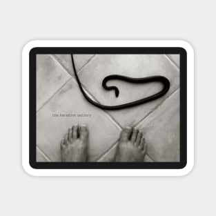 Snake Amazing Barefoot Photography Magnet