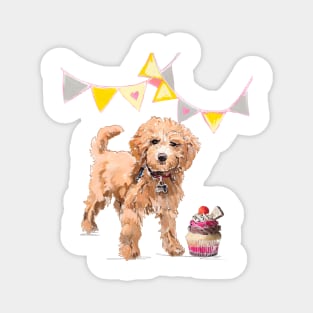 Birthday Cockapoo Magnet