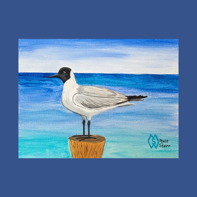 Black-headed gull at the shore by Matt Starr Fine Art