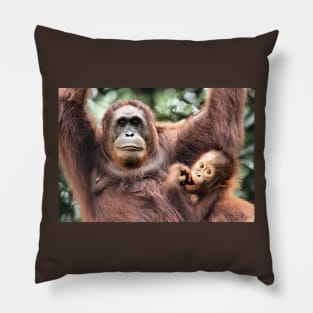 Are You Looking At Us?? Orangutans, Sepilok, Borneo Pillow