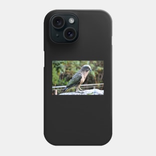 Nouvelle Zélande -  Milford Sound, perroquet kea Phone Case