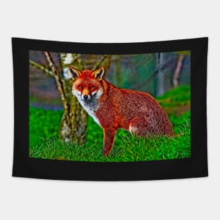 Arty Mr Red Fox Tapestry