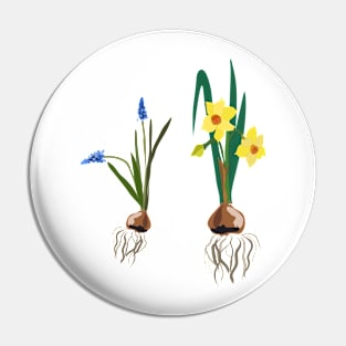 Spring flowers daffodils and muscari Pin