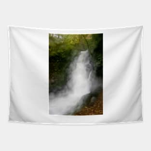 Dolgoch Falls Tapestry